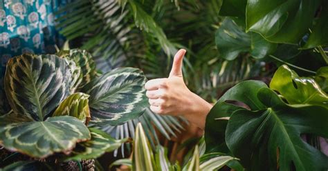 60+ Of The Funniest Verbal Pranks That’ll Have You Laughing .